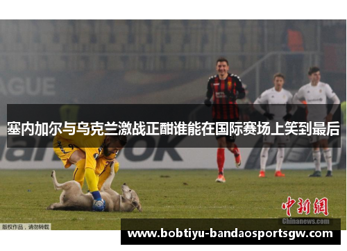 塞内加尔与乌克兰激战正酣谁能在国际赛场上笑到最后